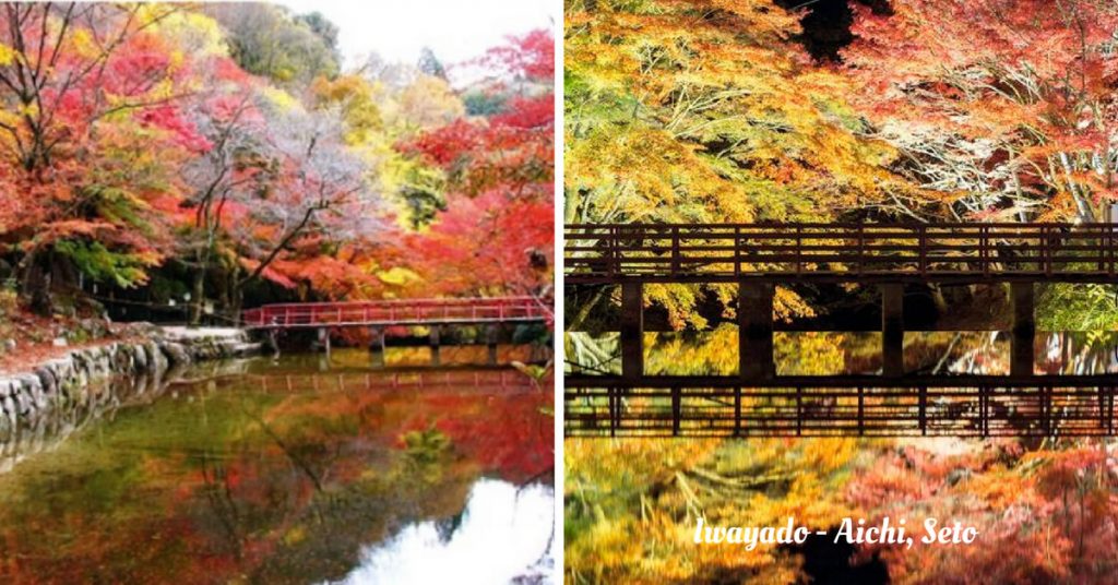 iwayado-Outono em Aichi - Koyo de Seto-shi